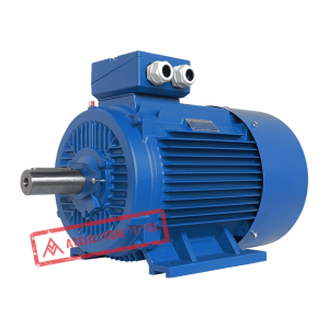 A-Y3e Series - Three Phase Asynchronous Motor