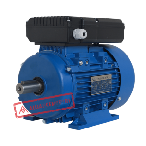 A-YL Series - Single Phase Asynchronous Motor